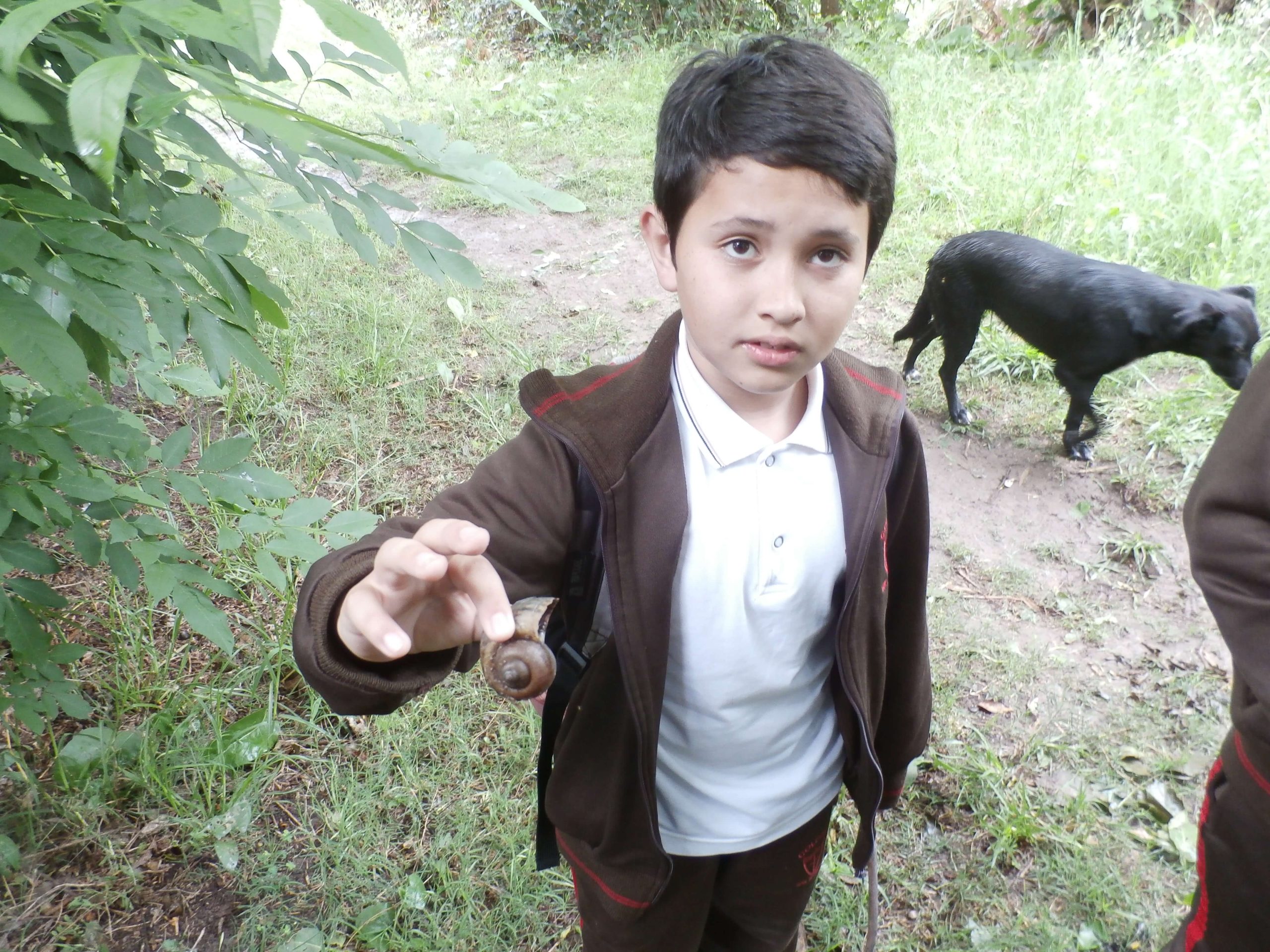 Institucional San Martín